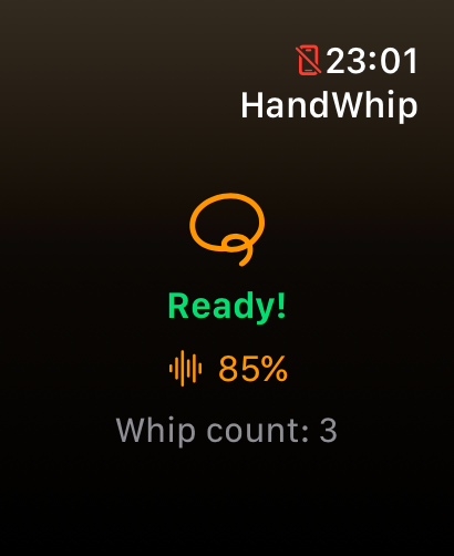 HandWhip After Whip